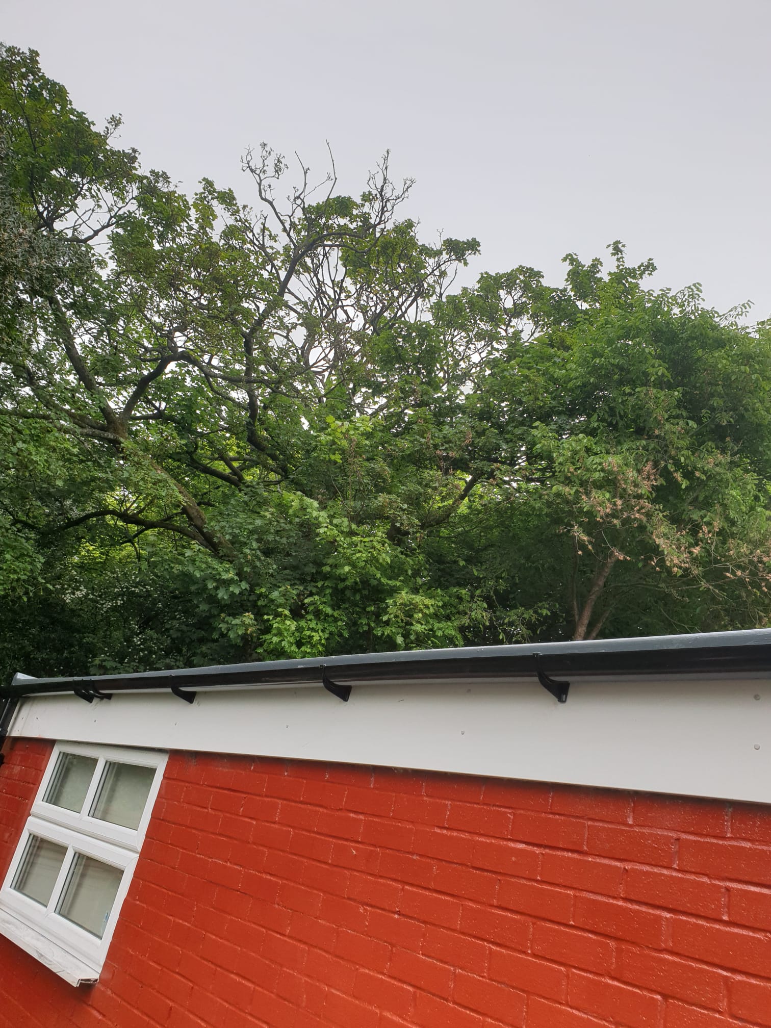 Flat roofing project